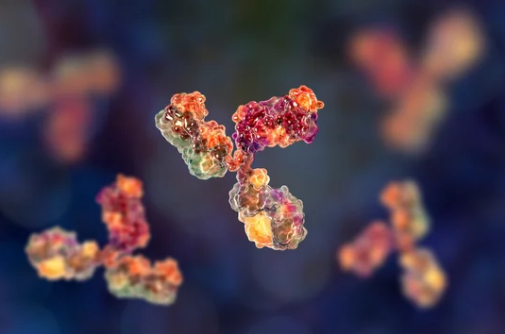 ambulatori di immunologia