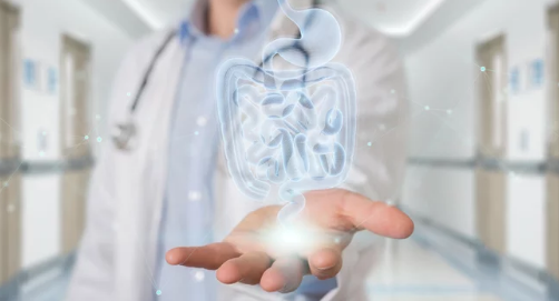 medico gastroenterologo