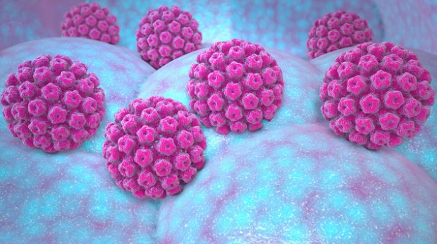 papilloma virus esami