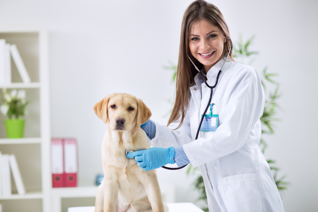 associazioni veterinarie