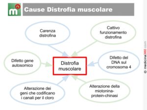 Un diagramma UML che rappresenta una malattia neuromuscolare su una pagina di testo una rappresentazione visiva della complessità di una malattia