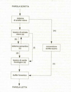 Questa immagine mostra un diagramma UML disegnato su un tavolo bianco, con una cassetta postale usata come simbolo di una disfunzione linguistica progressiva