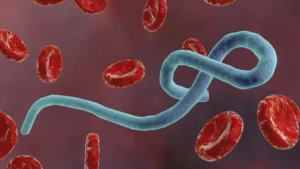 Un medico brasiliano esegue unanalisi approfondita per diagnosticare un paziente affetto da virus Ebola, alla ricerca di una cura e di un rimedio per la situazione