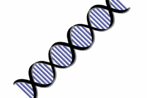 Questa immagine mostra un logo a spirale che rappresenta lacido lipoico, una bobina di filo che ricorda un portacenere, una pipa a fumo e un posacenere con limmagine dellAshtraySpirale Un quadro che rappresenta la deficienza di acido lipoico e le sue conseguenze