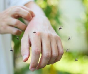 Un bambino con lemorragia virale acuta mostra un insetto sulla mano, un esempio di come gli invertebrati possano colpire anche gli esseri umani