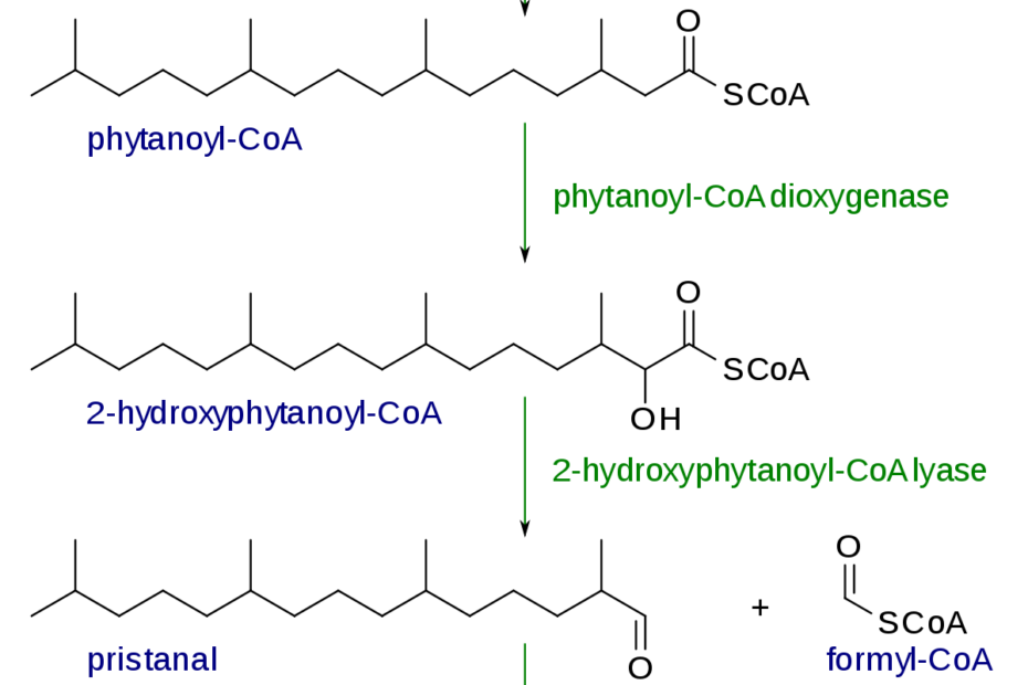 Deficit dell Ossidasi Acil-CoA Perossisomiale