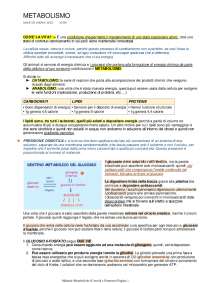 Immagine della pagina di un documento di testo mostrante una mancata presenza di glicerolo chinasi modifica, edita e gestisci il tuo file con facilità
