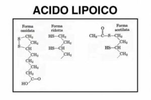 Una tavola bianca con un diagramma disegnato a mano a penna evidenzia il deficit di acido lipoico